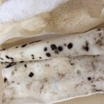 [개껌] 개껌에 왠 검은 <b>반점</b>들이?이거 뭐같으세요?