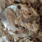 참치먹다가벌레가나왔는데 <b>보상</b>으로ㅋㅋㅋㅋㅋㅋ