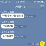 흔한 대한민국 남매 이야기