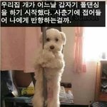 [블락비] 상대방의기썬을<b>제압</b>해