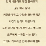<b>씨앗</b>