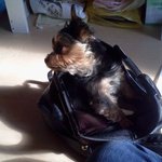 [견과류] 나의 사랑!견과류들!