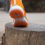 [<b>런닝</b>화] 노스페이스 트레일<b>런닝</b>화 샀습니당 ㅎㅎ