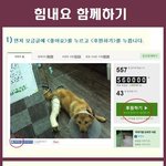 [도와주세요] [힘<b>내요</b>] 나주천사의집에 힘을주세요