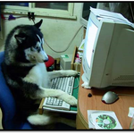 언니들 <b>알뜰</b>하게 쇼핑하는 노하우 가져왔어!