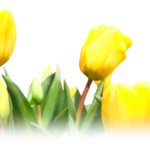 [꼭봐주세요] 놀라워라 ~ <b>주석</b>은 성경이 아니라고 말하는 신천지