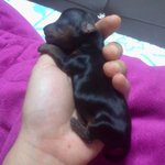 [견과류들] 견과류들 사진 대 방출!