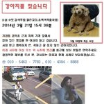 강아지를 <b>도난</b>당했습니다 (동영상첨부)
