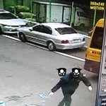 [도와주세요] 부산 한 아파트 집에서 고양이가 살해 당했습니다.