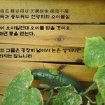 도덕경 읽기, 그리고 하늘의 뜻