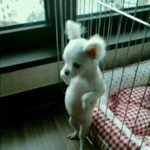 [시우민] 다들 즐기고 있는가?