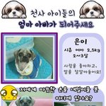 나주<b>천사</b>의 집 소식입니다. 은이의 가족이 되어주세요!