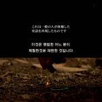 [공미니] 무서운이야기 - 허수<b>아비</b>