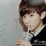 [EXO] 찬열이 <b>개냥</b>이상 같아