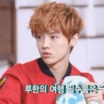 [루한] 스포주의)루한의 <b>여행</b> 필수품 