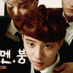 [도경수] 요리보고 <b>조리</b>봐도