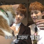 [도경수] <b>디비</b>디컷