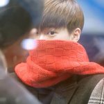 [수호] 얼굴소멸<b>직전</b>뚜호