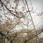 [블락비] ㅅㄷ몇<b>일전</b>부터 목감기심하게걸렸는데