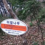 [EXO] 이나무이름이뭔지알아?ㅋㅋㅋ