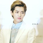 [EXO] 크리스