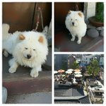 아 씌.벌 지금 강남역에서
