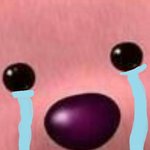 [EXO] 다들 방 예쁘네요..전...