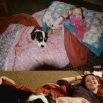 [팔부] 반려<b>동물</b>과 같이 늙어가는 과정