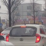 만나면 왠지 섬찟할 초보<b>운전자</b>////