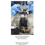 [공미니] 400년을 뛰어넘은 <b>조선</b>시대 사랑이야기