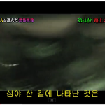[공미니] 외국인이 무서워한 공포영상 <b>best</b> 4