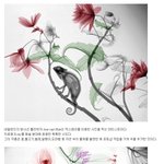 [짤북] x-ray로 찍은 <b>자연</b>의 이미지
