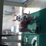<b>마르티즈</b> 2마리 맞나요?
