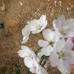 [블락비] 옷사구왔더니이게뭔<b>일</b>이라냐