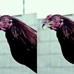 [블락비] 다<b>메시지</b>북하넴...-_-; 