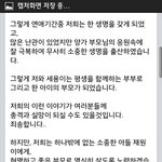 [홍영기] 홍영기 임신