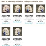 [공포베스트] 사람의 두개골을 팝니다