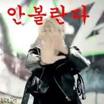 [블락비] 그러고보니우리학교내일모레인바디함