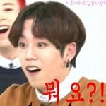 [블락비] 우리반애들탤찡디게디게쥬아하는데