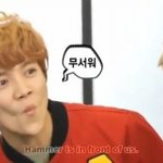 [EXO] 애들 <b>좌우</b>음성이나 피아노 기차해줄분