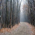 [공포베스트] 악몽의 장소들