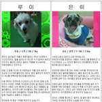<b>루이</b>와 은이의 가족이 되어주세요