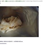 [짤북] 한국과자를 처음본 일본애들의 <b>반응</b>.