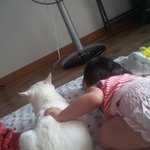 [마루와빈이] 두살베기그녀와세살베기마루(1)