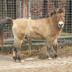 [EXO] 지금 변백현 판보고있다 <b>말조심</b>해 증거사진유