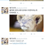 [백현] 애기<b>사자</b>ㅋㅋㅋㅋㅋ진짜애기<b>사자</b>