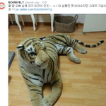 [블락비] 그리고 범<b>블리</b>는ㅋㅋㅋㅋ