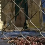 워킹데드 시즌4  마지막회 보셨나요? 식<b>xx</b>맞는거죠? 보신분들만...