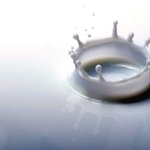 우유의효능 대전한방다이어트 <b>칼럼</b> 건강을 위한 대전한방다이어트 정보성글