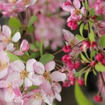 진주 쇼핑 어디서 하면 좋을까요?ㅎㅎ